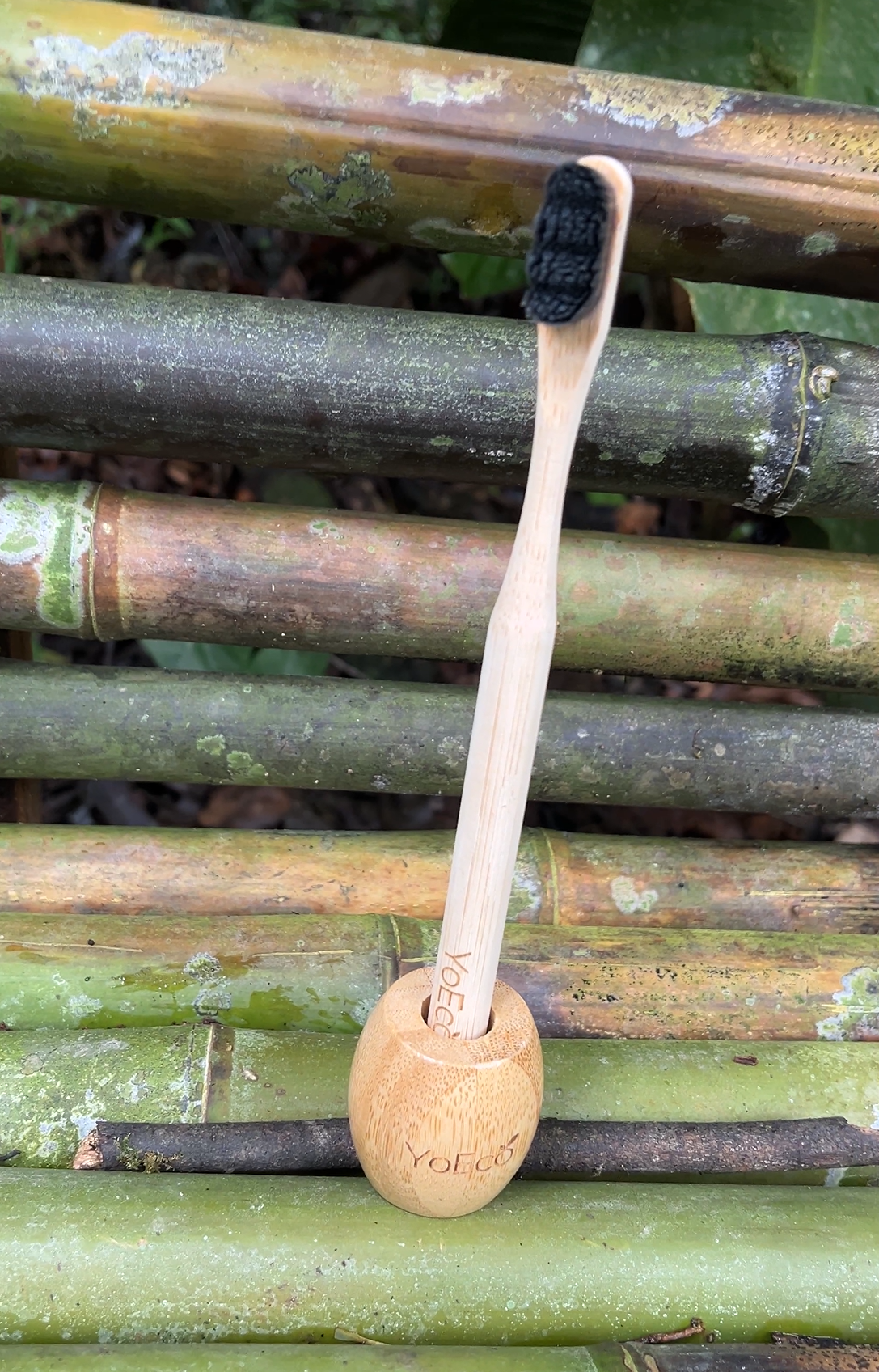 Kit de Cuidado Bucal Eco-Lujo YoEco