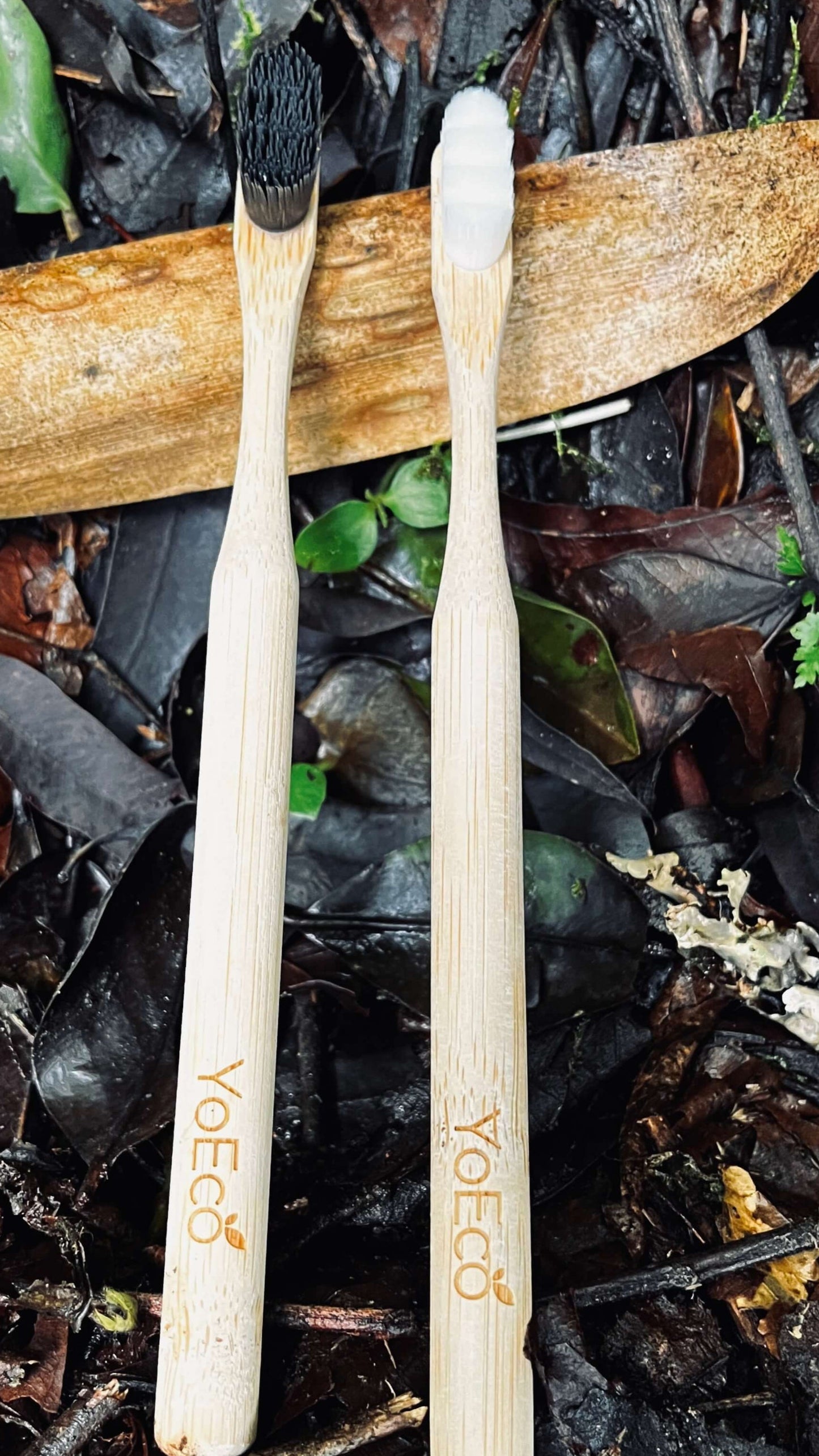 Cepillo de Bambú YoEco – Ebony Edition
