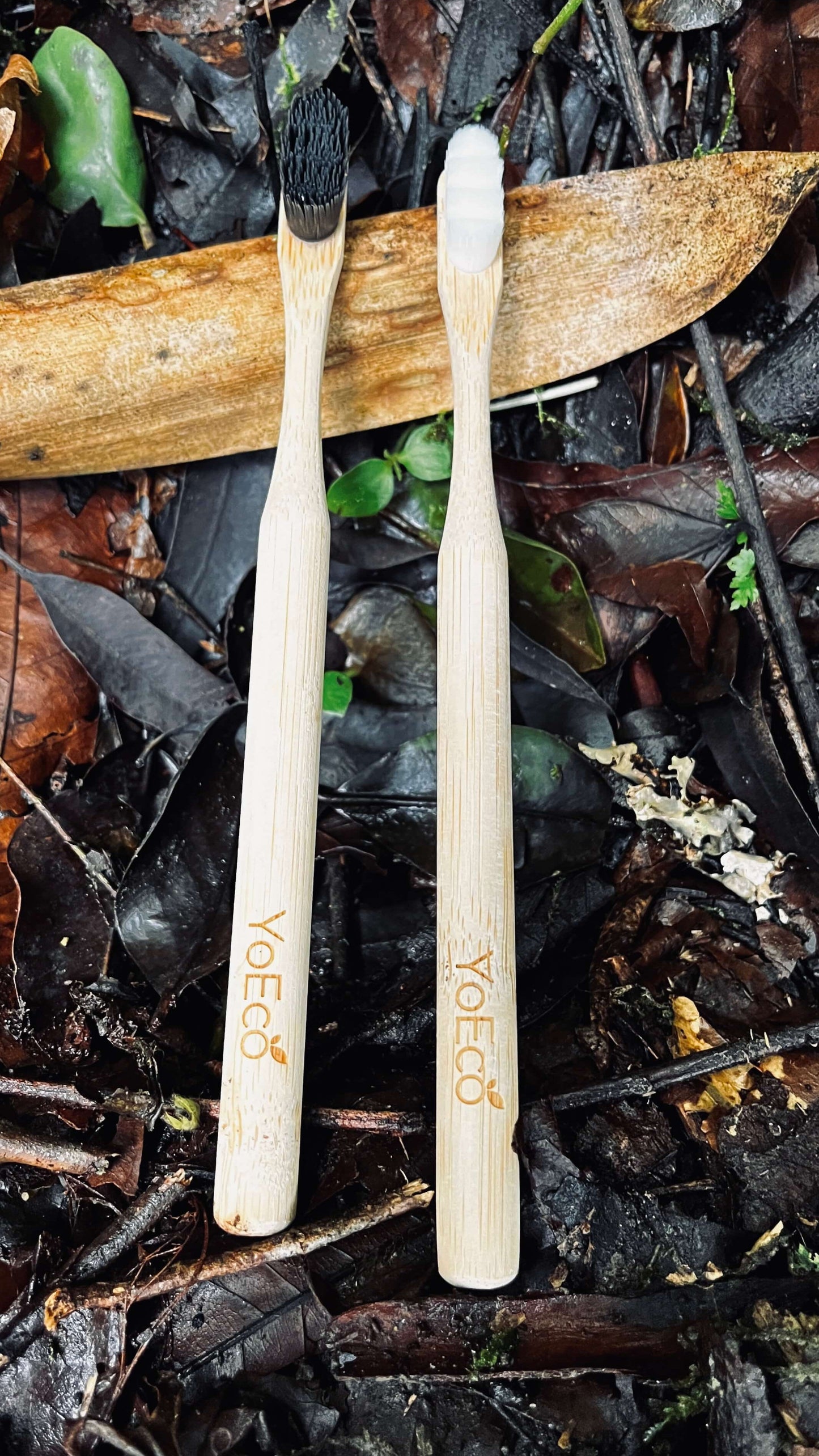 Cepillo de Bambú YoEco – Snow Edition