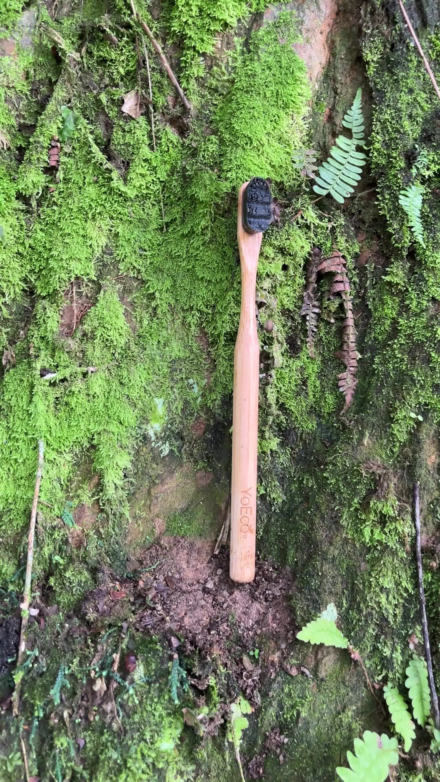 Cepillo de Bambú YoEco – Ebony Edition