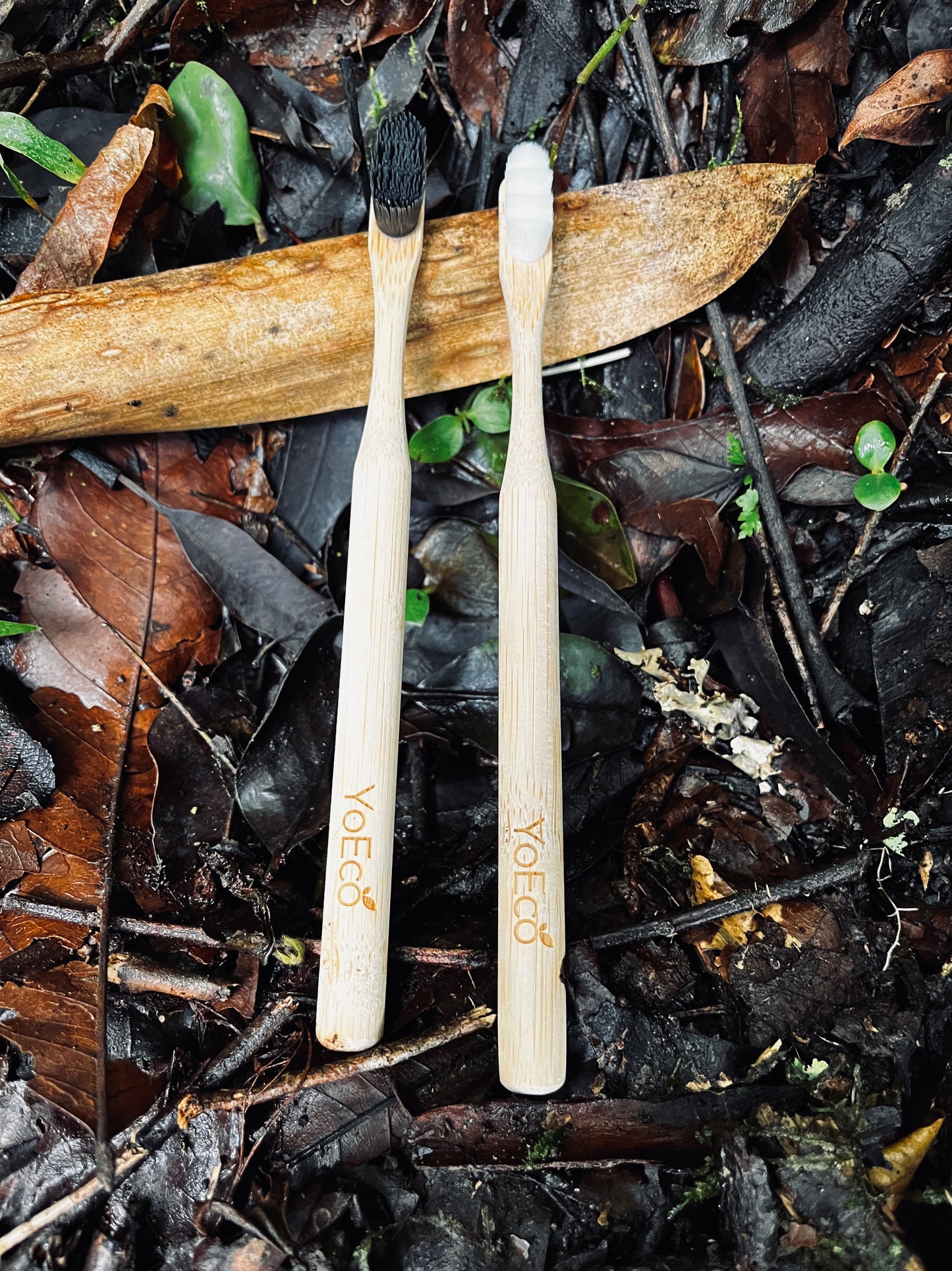 Cepillo de Bambú YoEco – Ebony Edition
