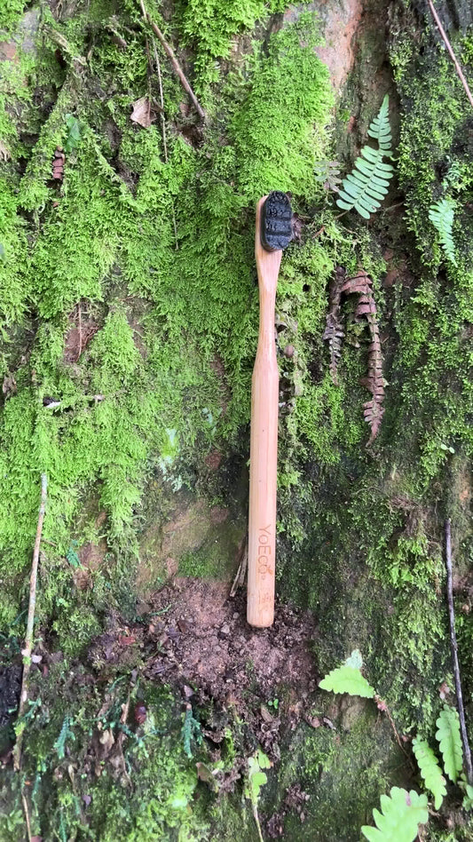 Cepillo de Bambú YoEco – Ebony Edition